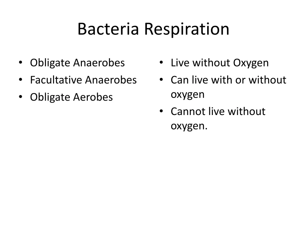 bacteria respiration