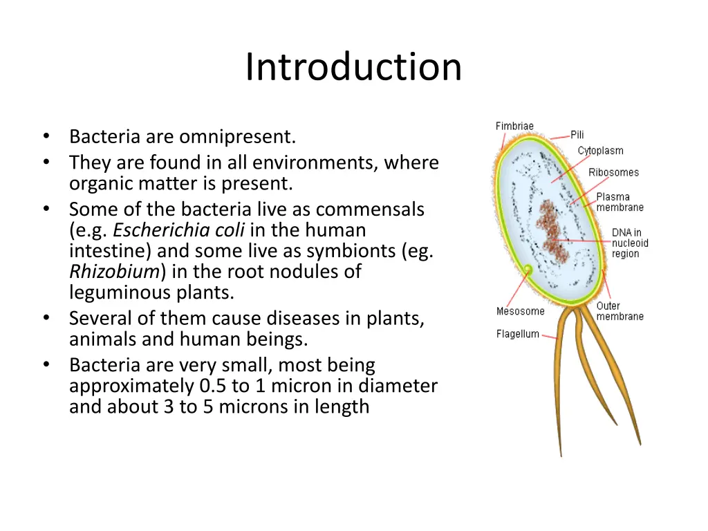 introduction