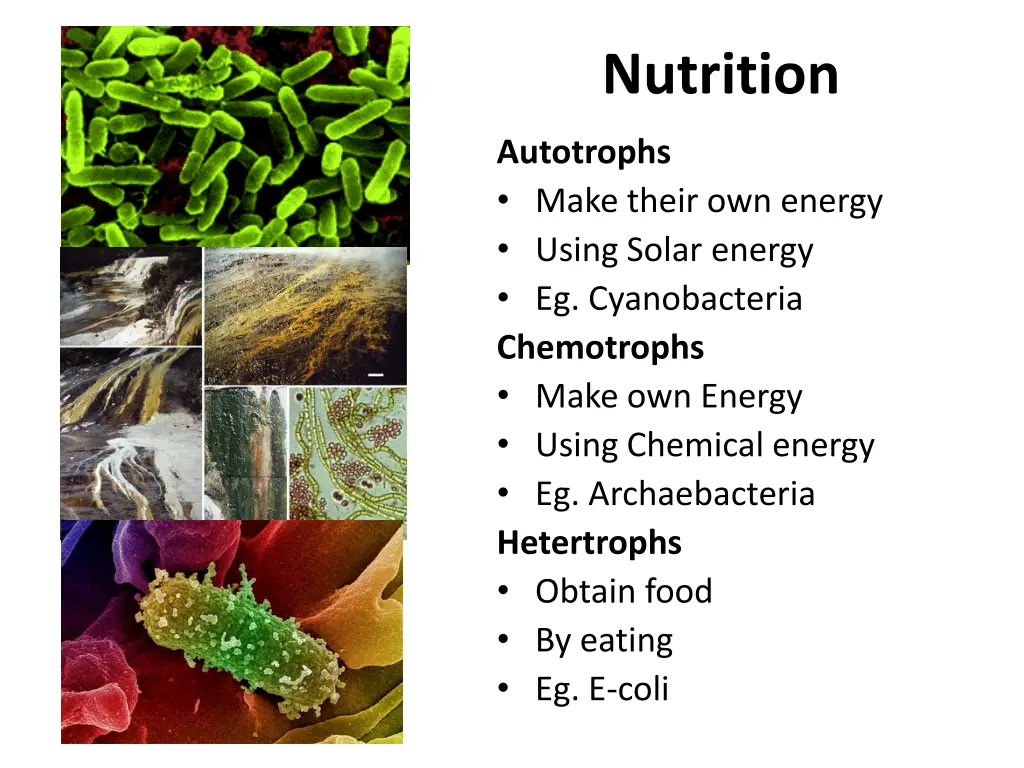 nutrition