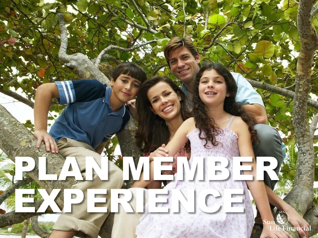 plan member experience