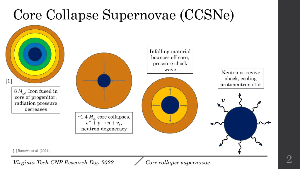 core collapse supernovae ccsne