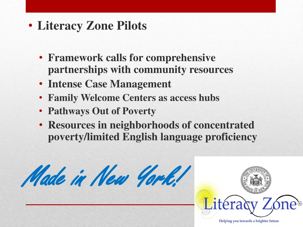 literacy zone pilots