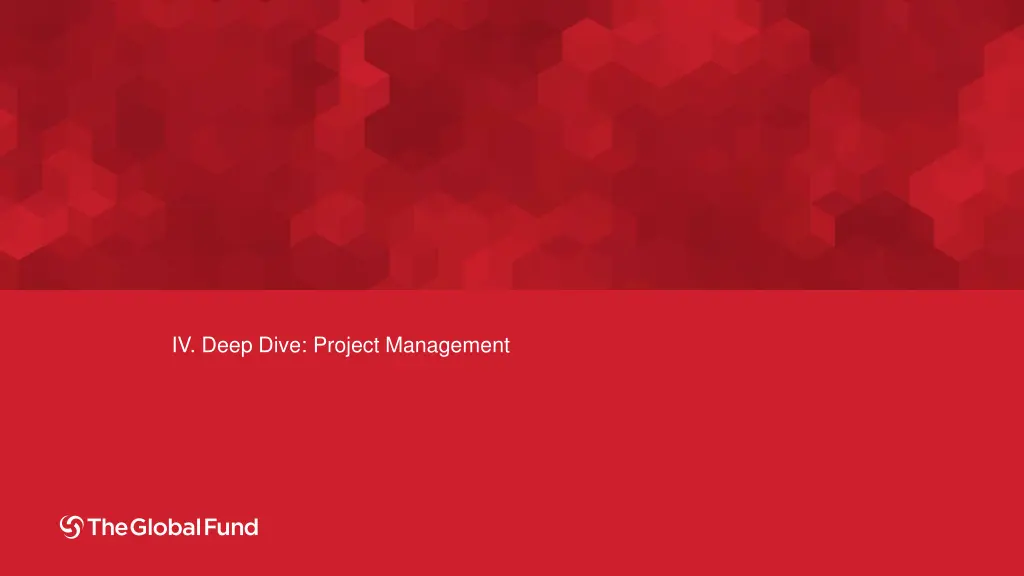 iv deep dive project management