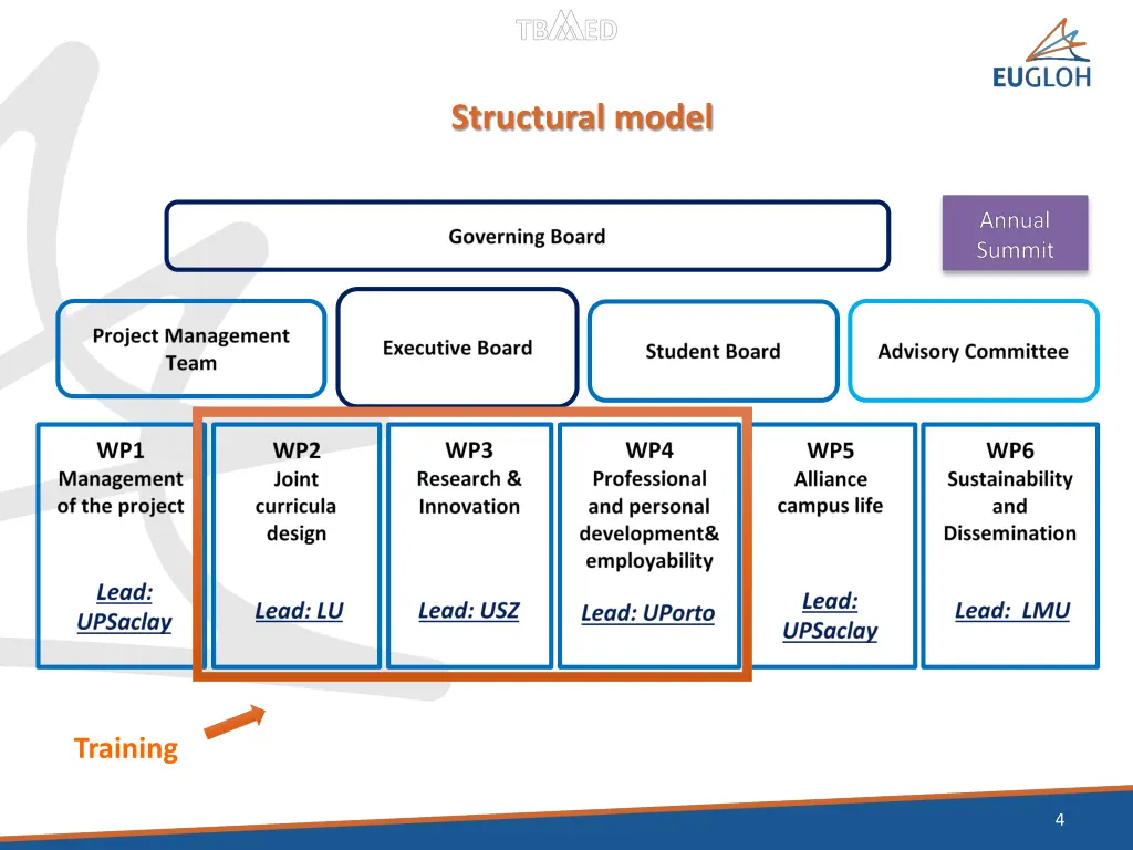 structural model