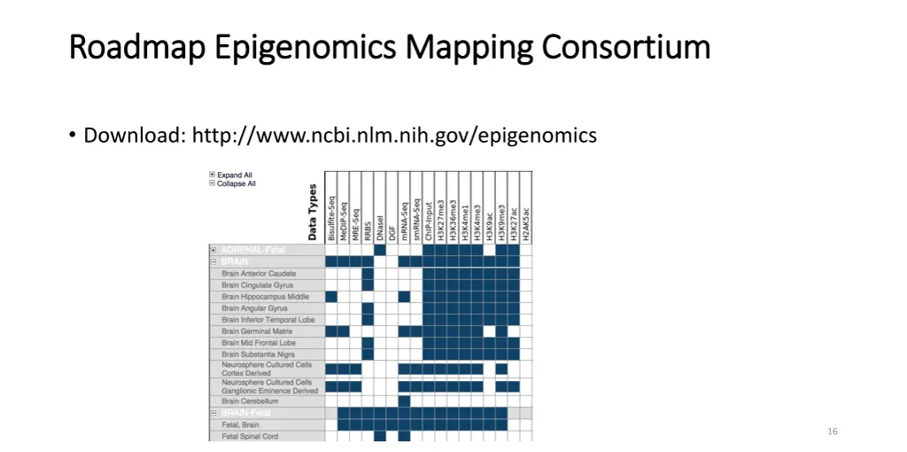 roadmap roadmap epigenomics epigenomics mapping