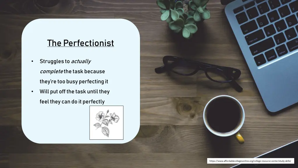 the perfectionist