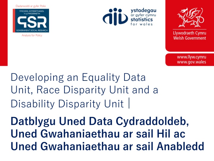 developing an equality data unit race disparity