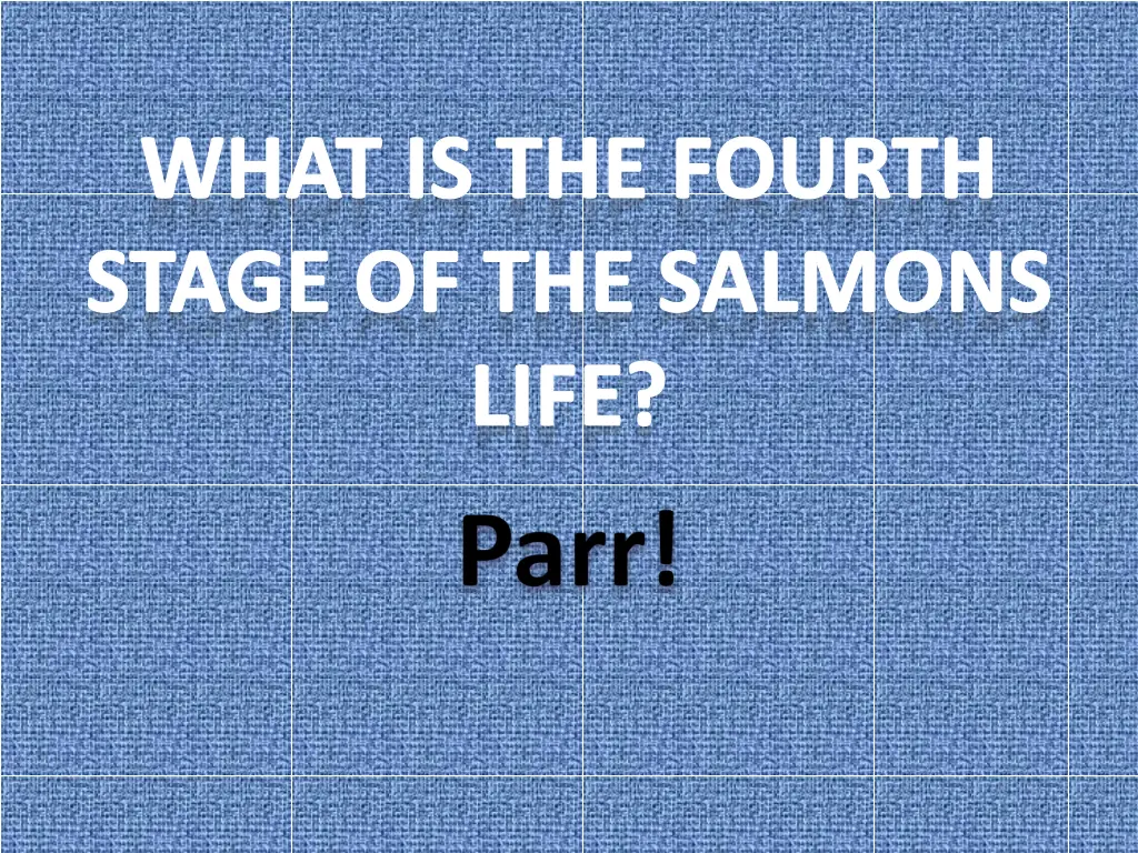 what is the fourth stage of the salmons life