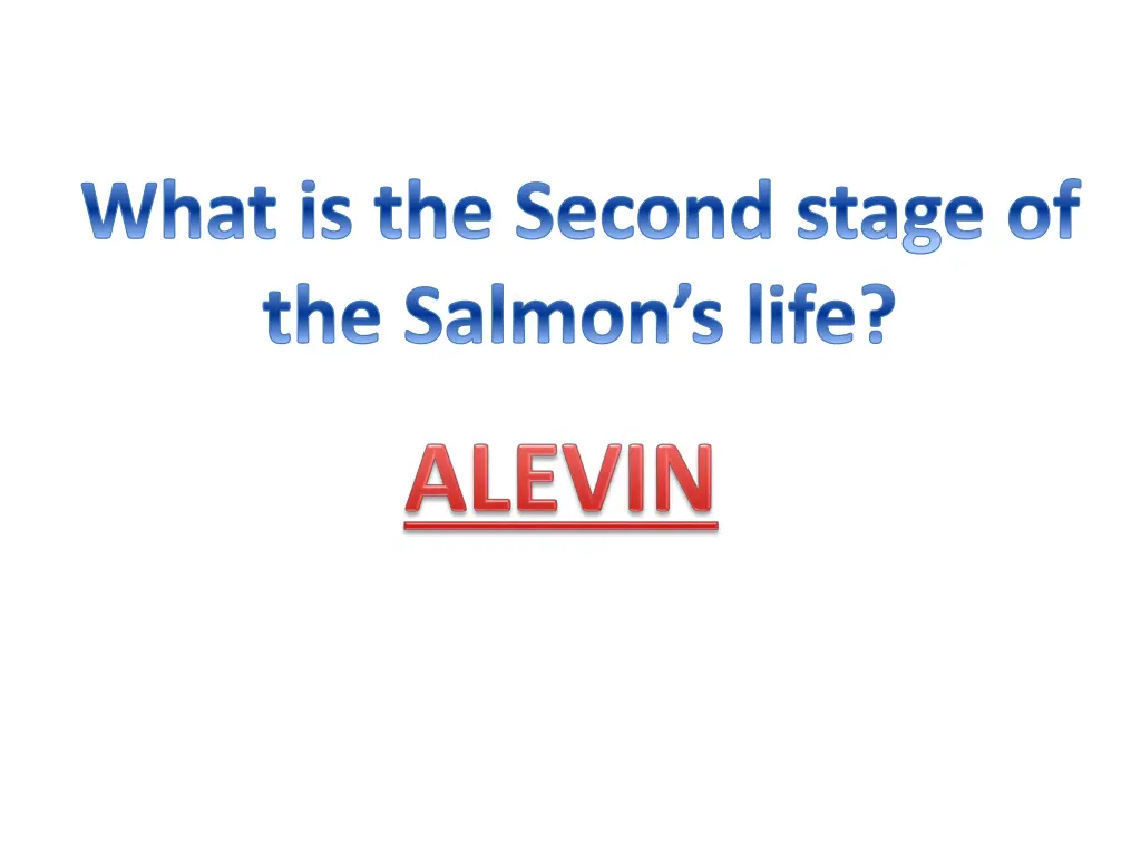 what is the second stage of the salmon s life