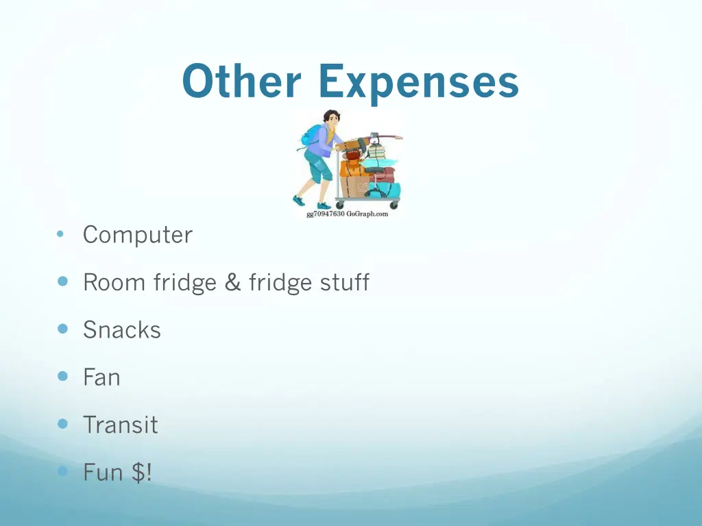 other expenses