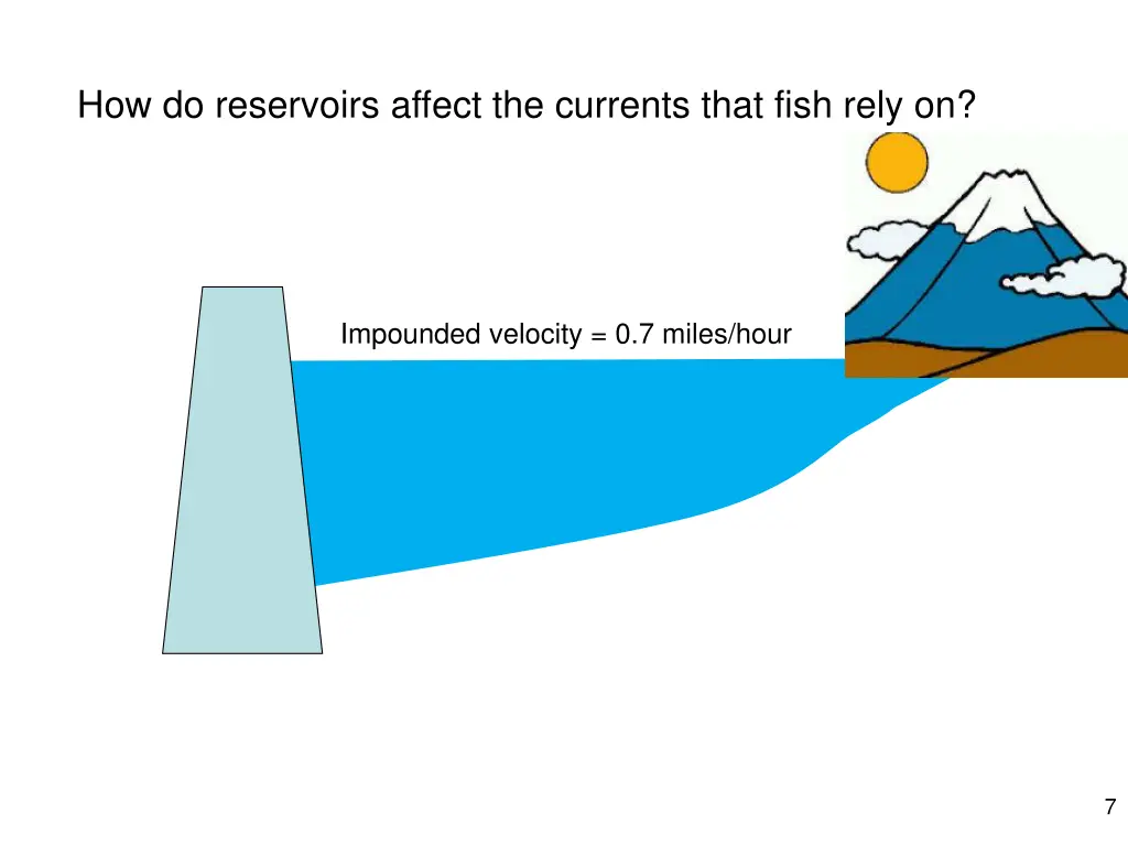 how do reservoirs affect the currents that fish 1