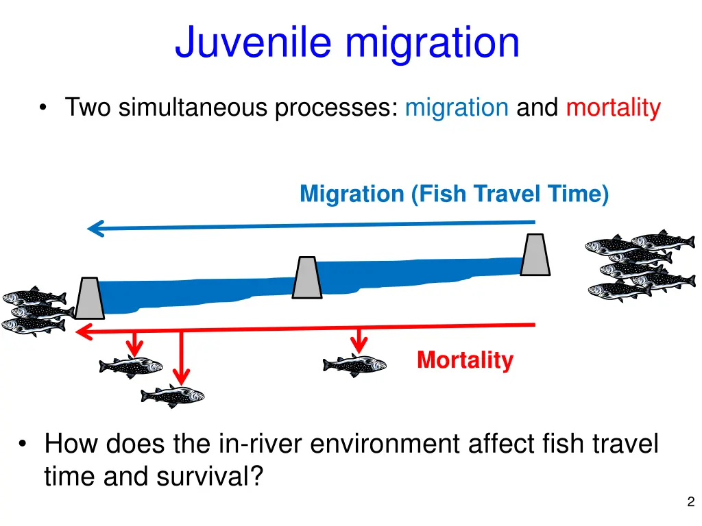 juvenile migration