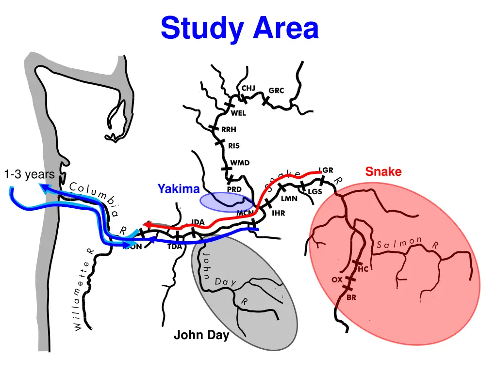 study area