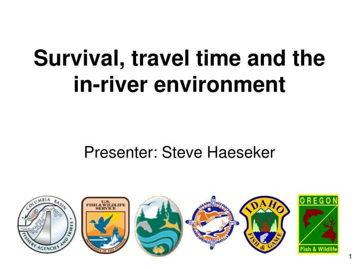 survival travel time and the in river environment