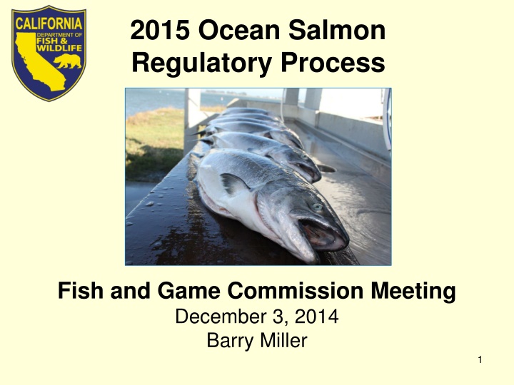 2015 ocean salmon regulatory process