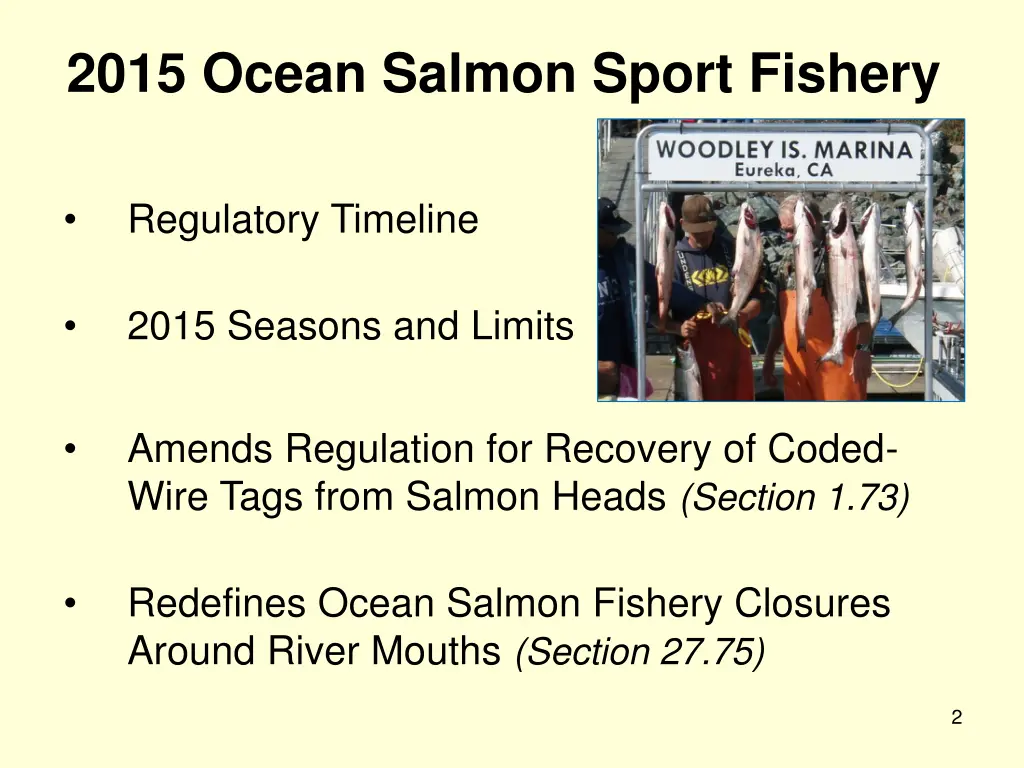 2015 ocean salmon sport fishery