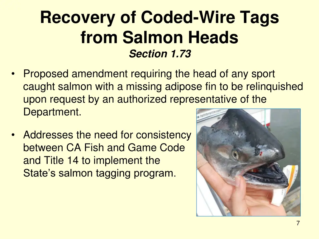 recovery of coded wire tags from salmon heads