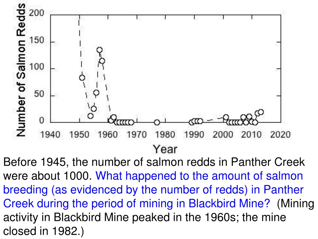 before 1945 the number of salmon redds in panther