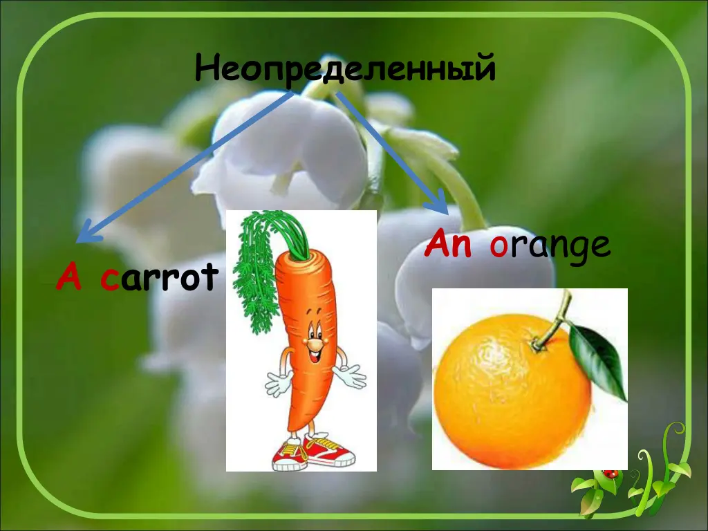 an orange