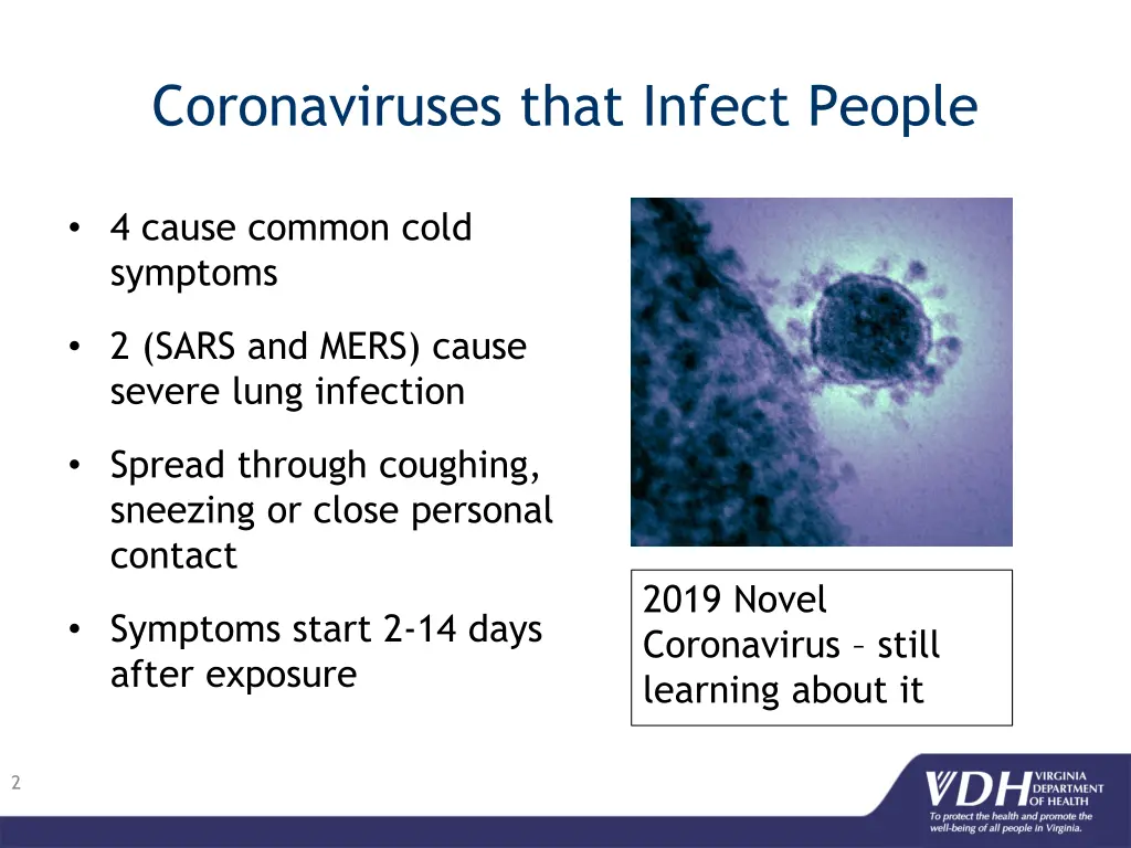 coronaviruses that infect people