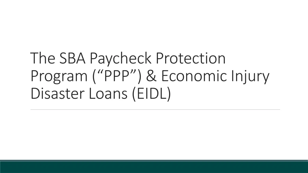 the sba paycheck protection program ppp economic