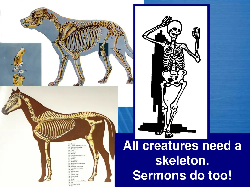 all creatures need a skeleton sermons do too