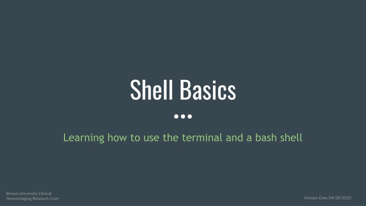 shell basics