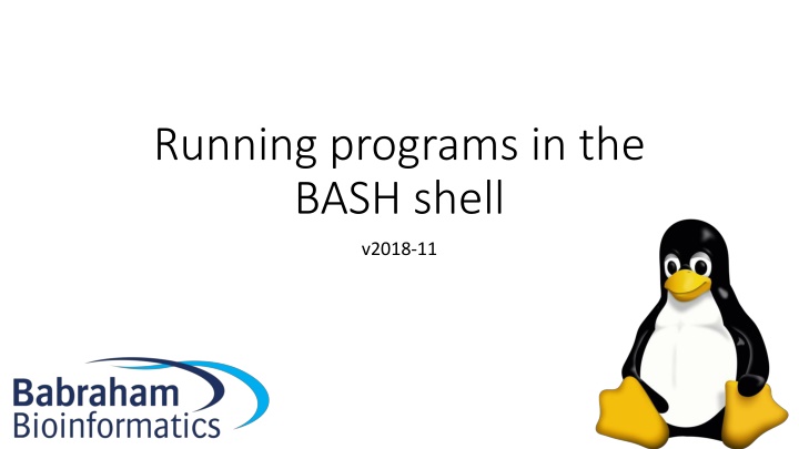 running programs in the bash shell