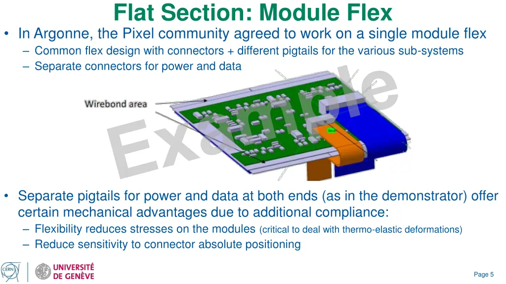 flat section module flex in argonne the pixel