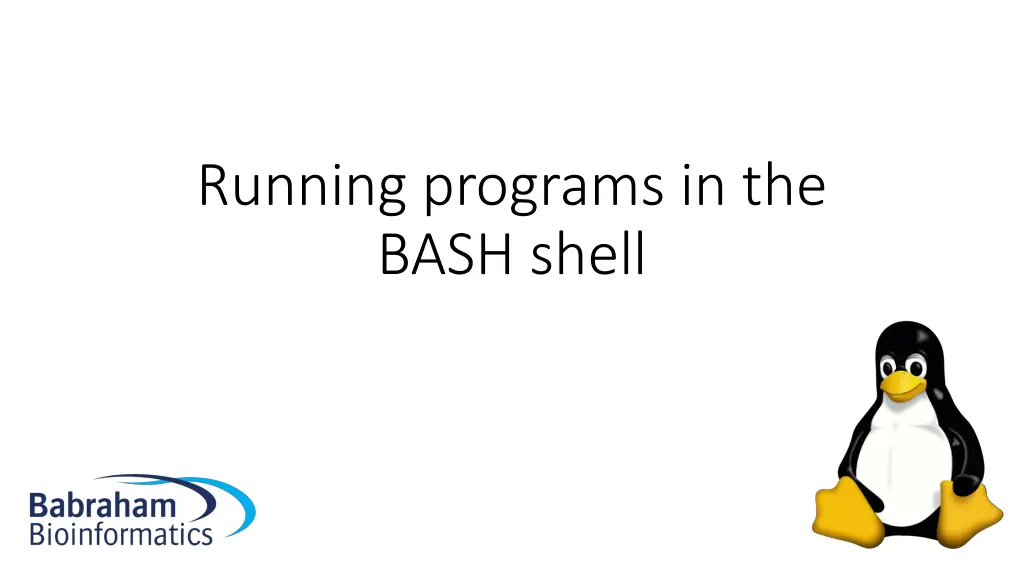 running programs in the bash shell