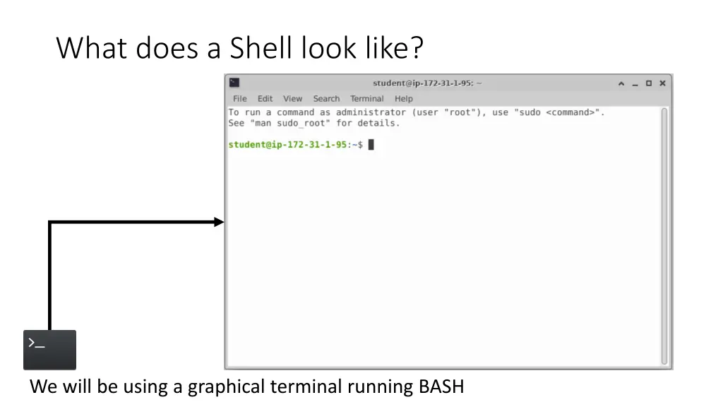 what does a shell look like