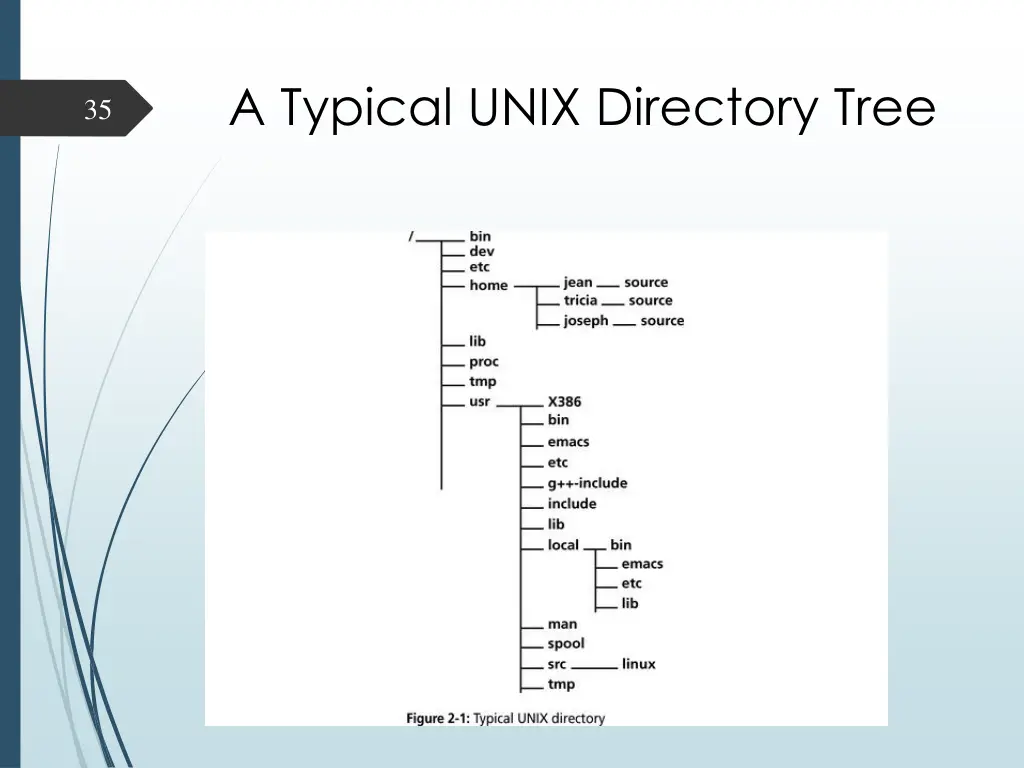 a typical unix directory tree