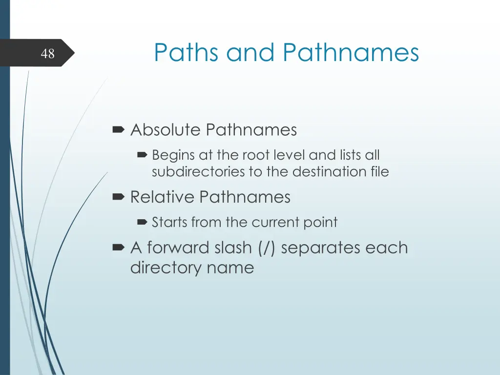 paths and pathnames