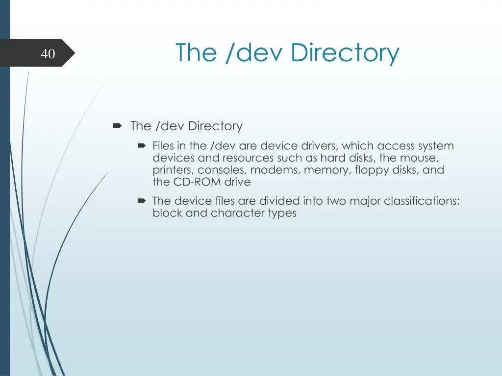 the dev directory