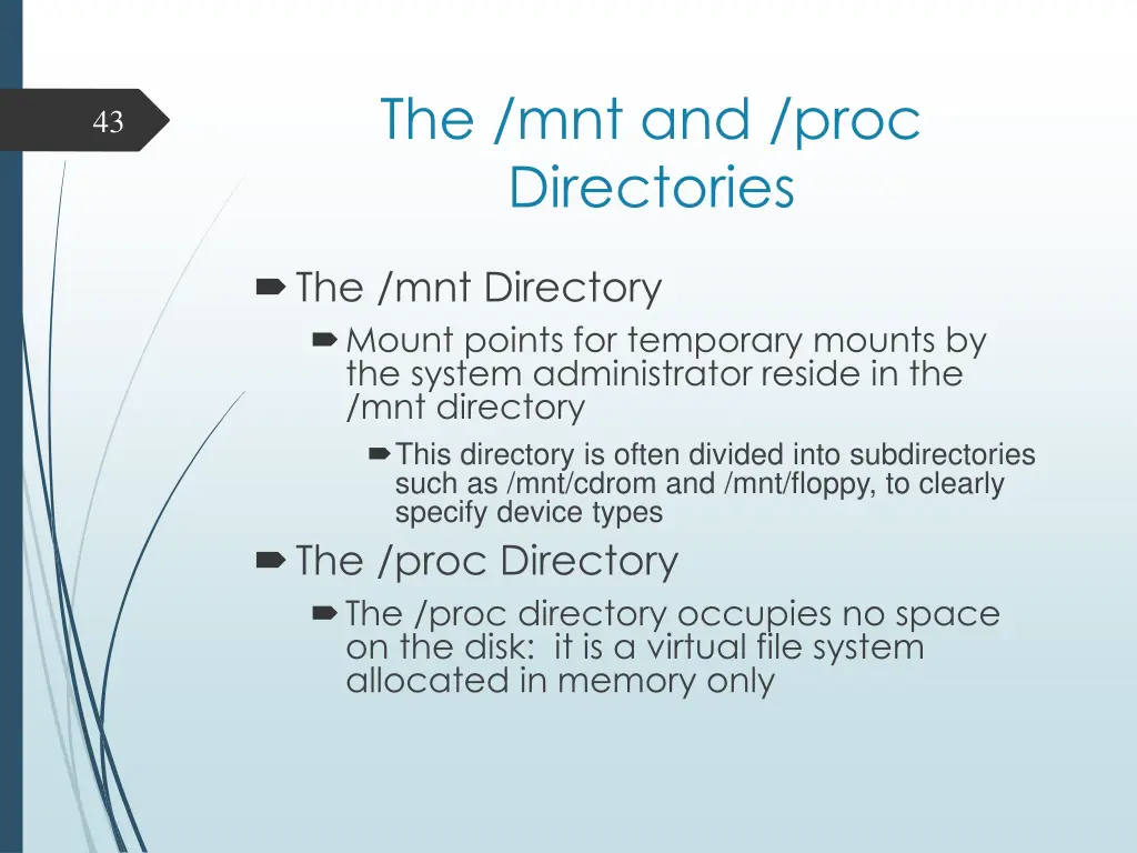 the mnt and proc directories