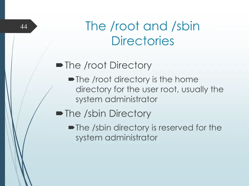 the root and sbin directories