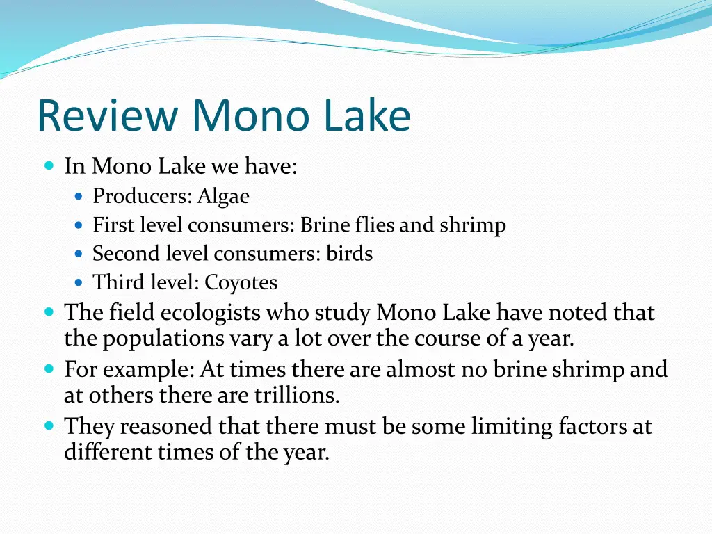 review mono lake