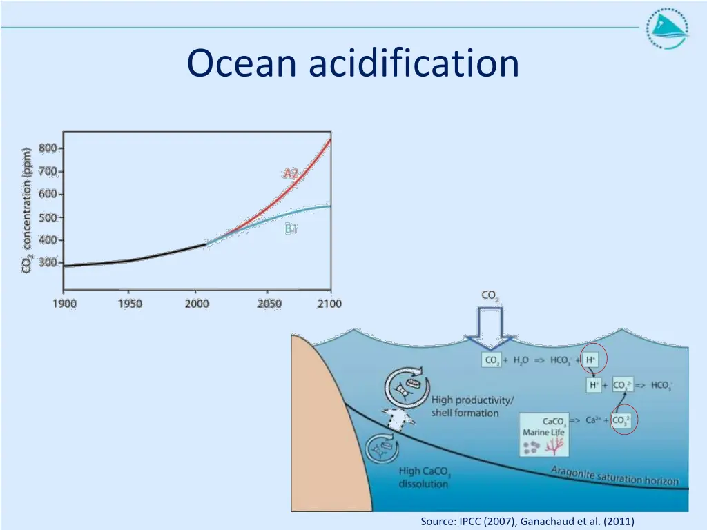 ocean acidification