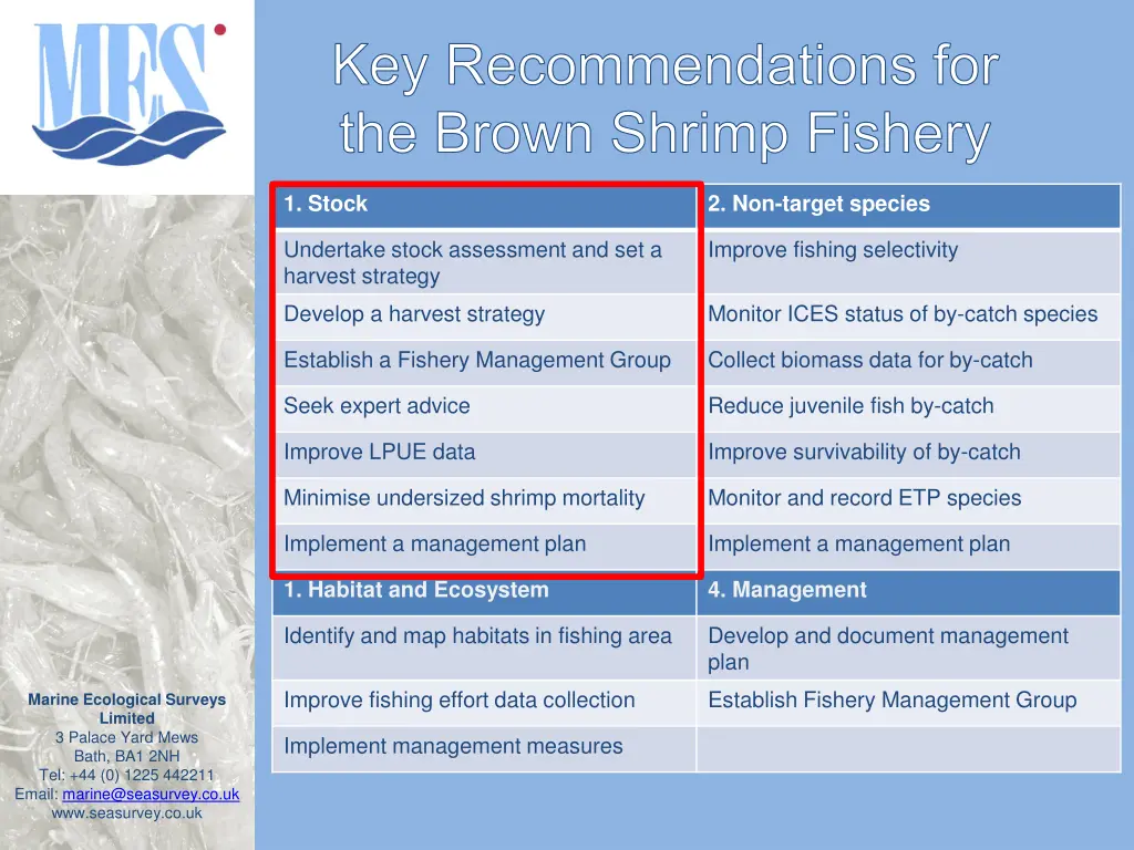 key recommendations for the brown shrimp fishery 1