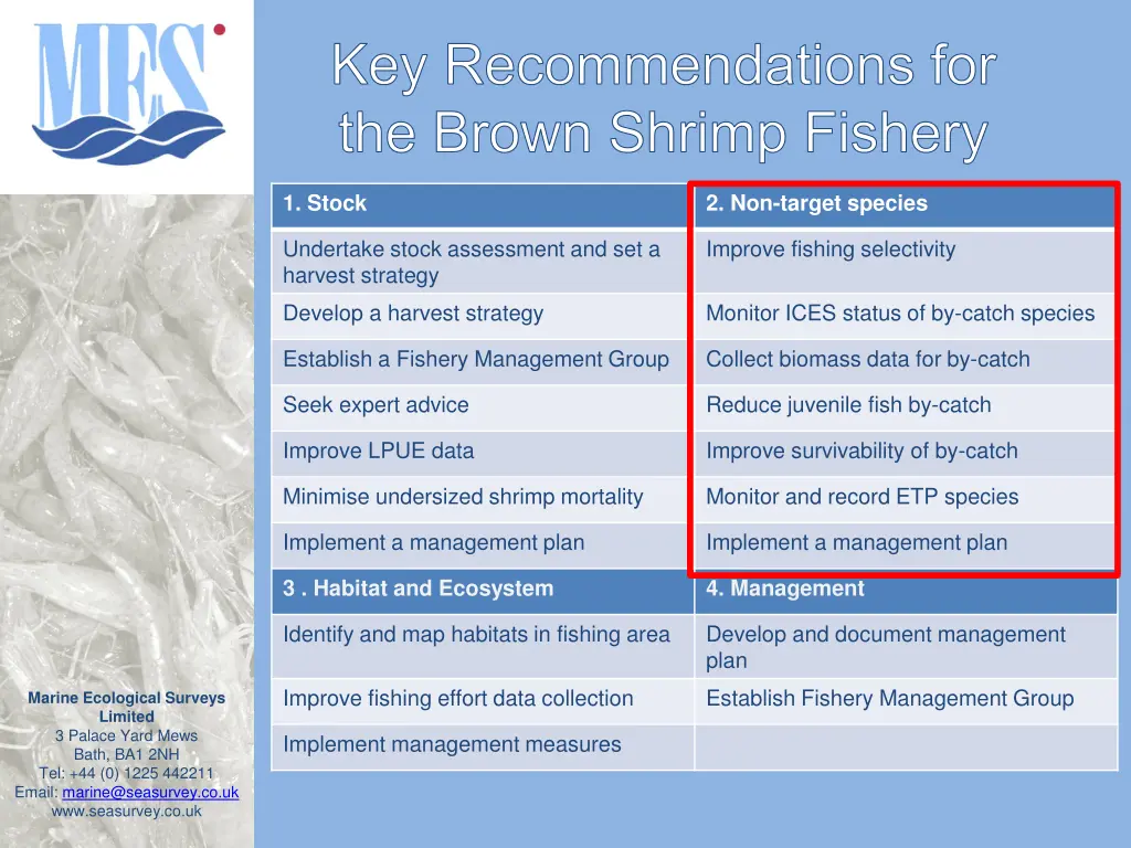 key recommendations for the brown shrimp fishery 2