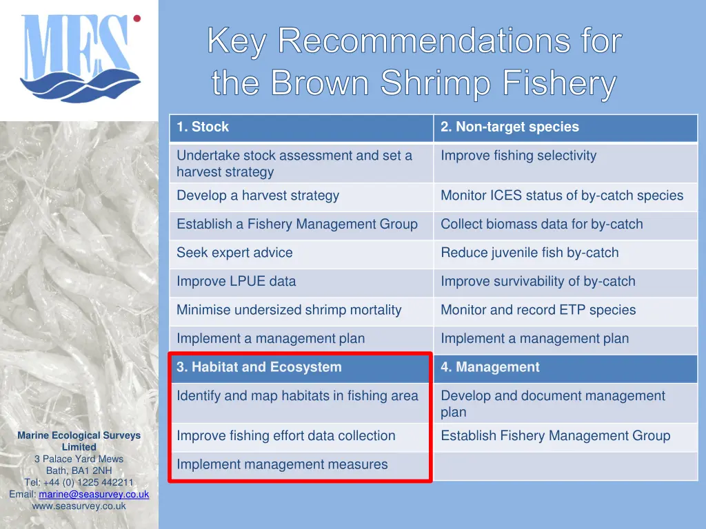 key recommendations for the brown shrimp fishery 3