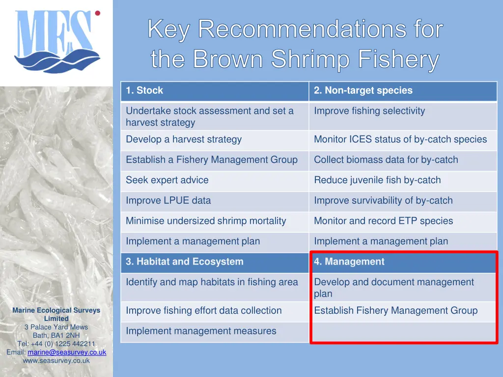 key recommendations for the brown shrimp fishery 4