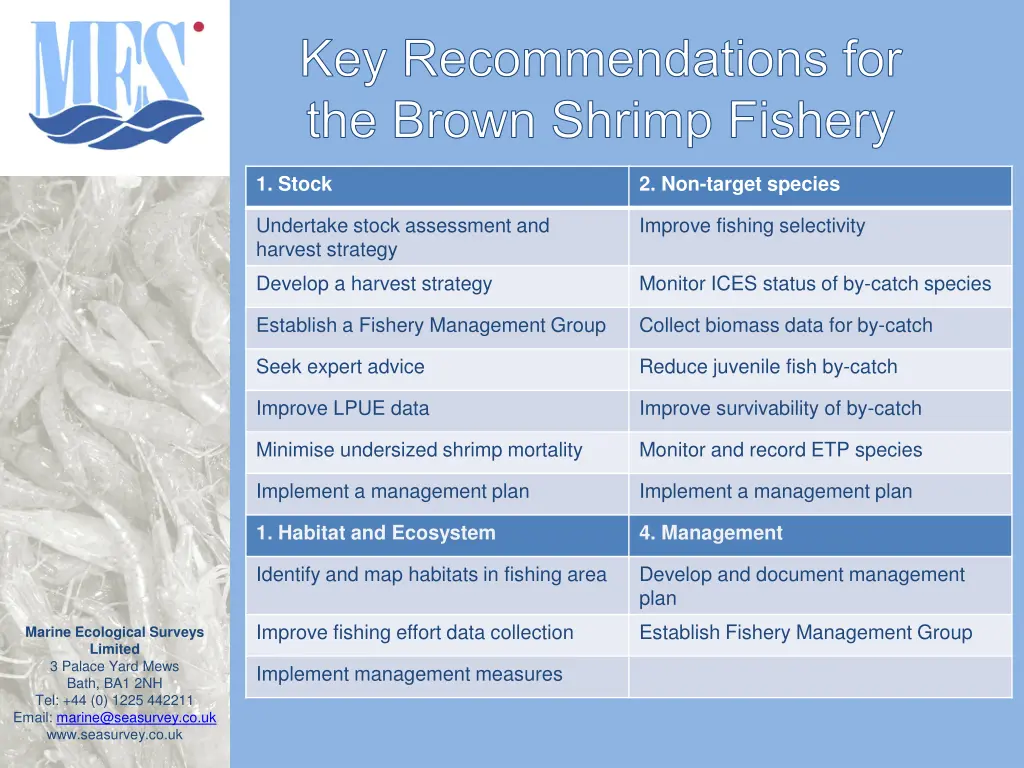 key recommendations for the brown shrimp fishery