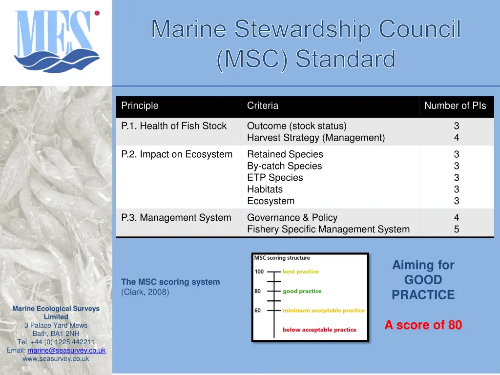 marine stewardship council msc standard