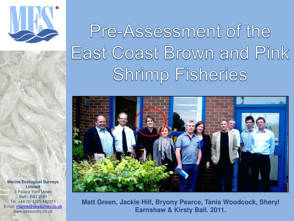 pre assessment of the east coast brown and pink 1