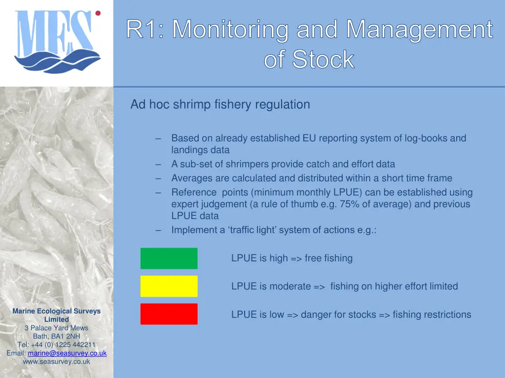 r1 monitoring and management of stock 1