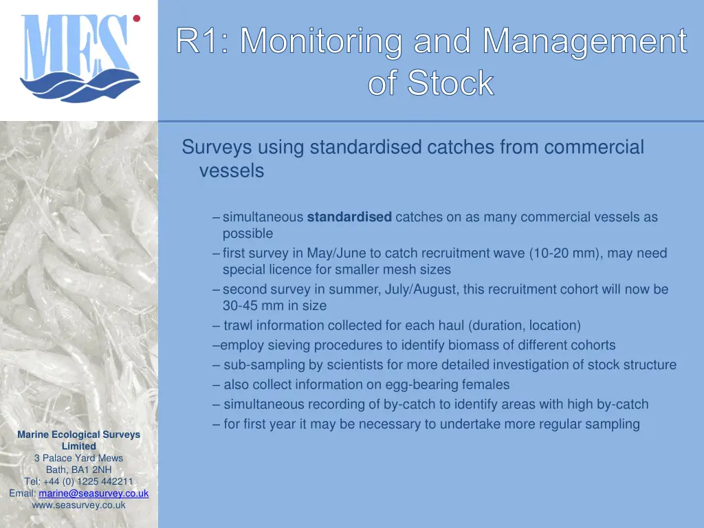 r1 monitoring and management of stock 2