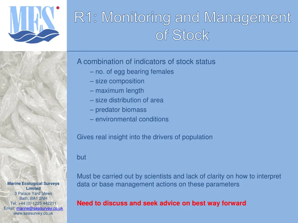 r1 monitoring and management of stock 3