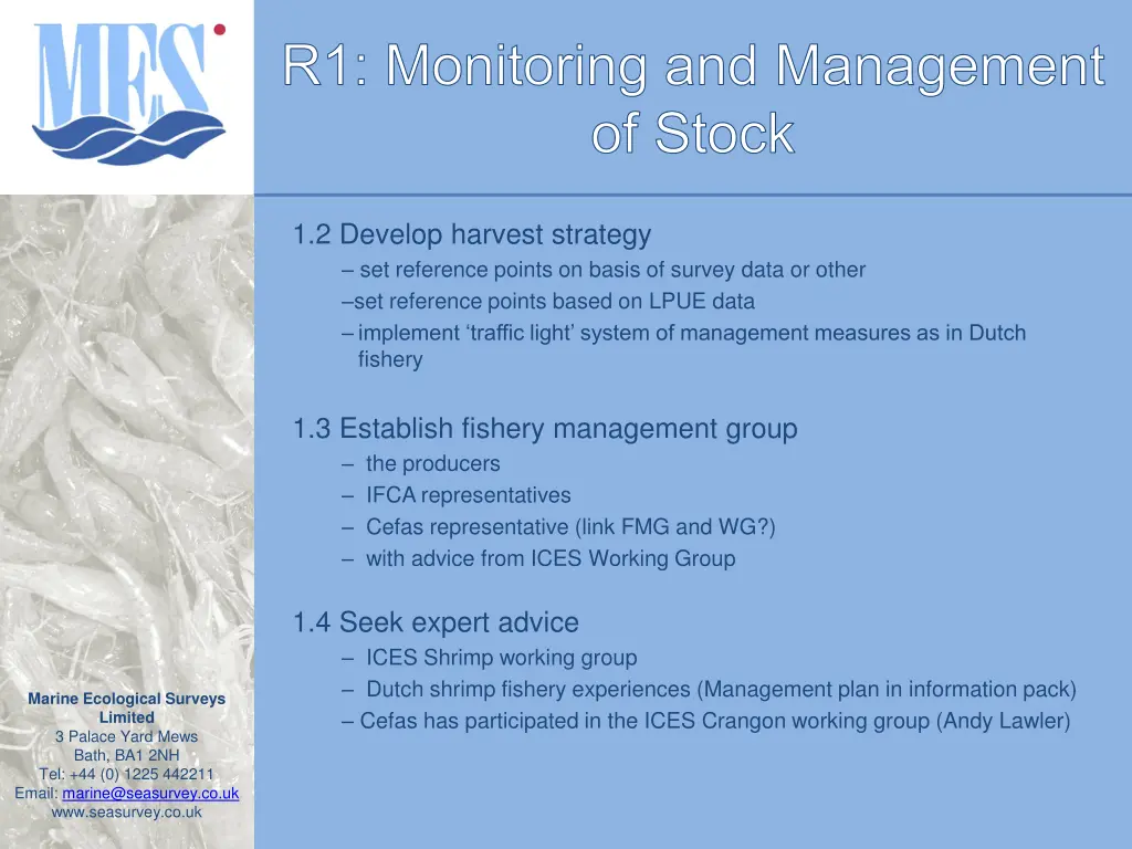 r1 monitoring and management of stock 4