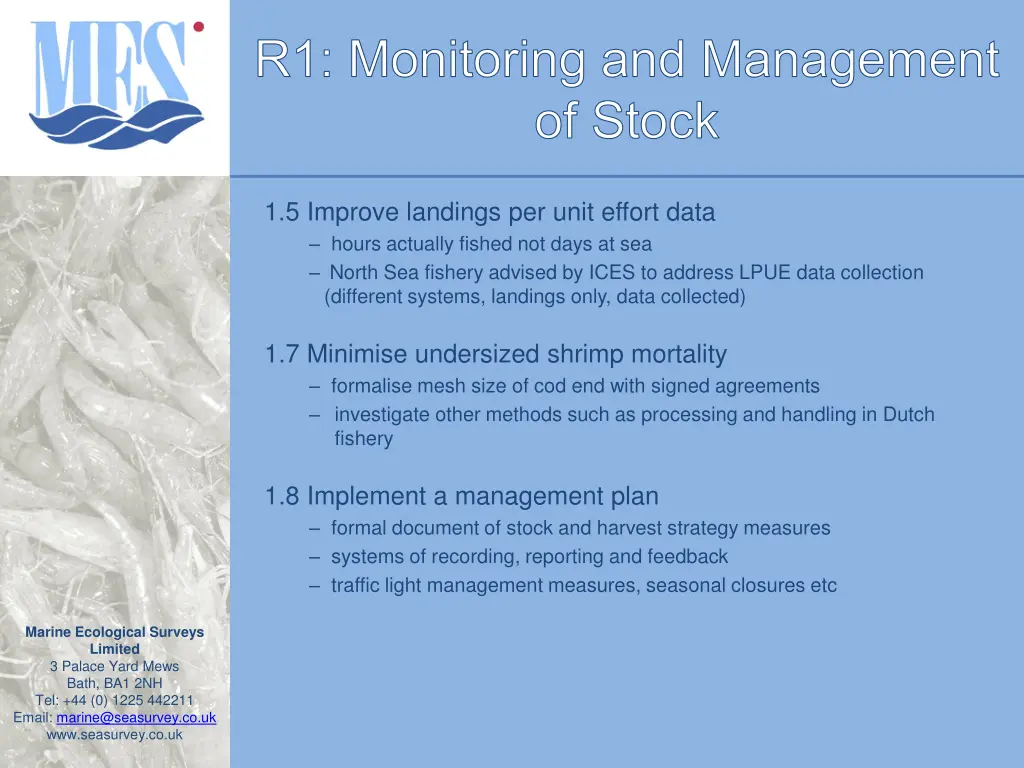 r1 monitoring and management of stock 6